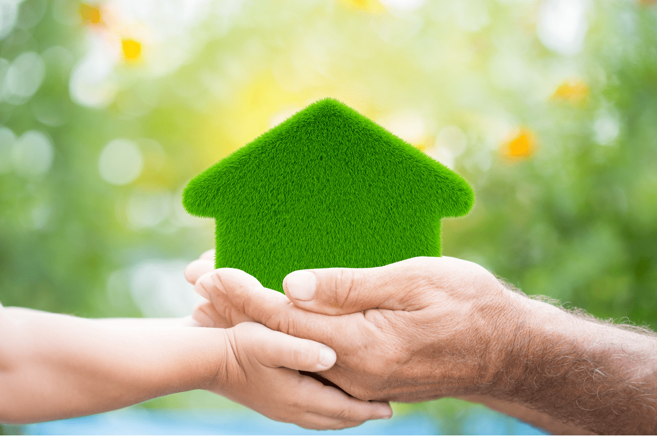 Going Green Lime Wash Painting Services for a Healthier More Sustainable Home